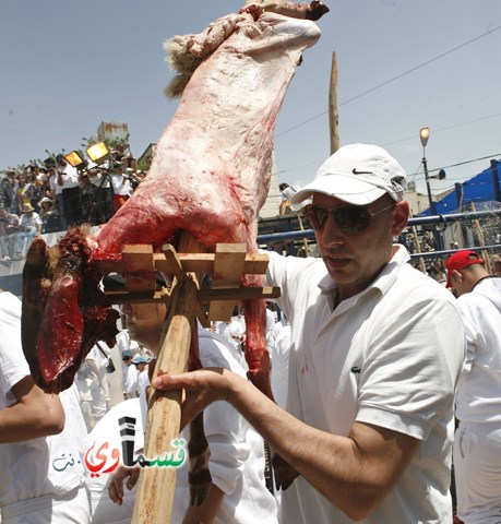 نابلس: السمره بين الهوية الاسرائيلية والمواطنة الفلسطينية ... سامريو نابلس يحتفلون بالفصح العبري  